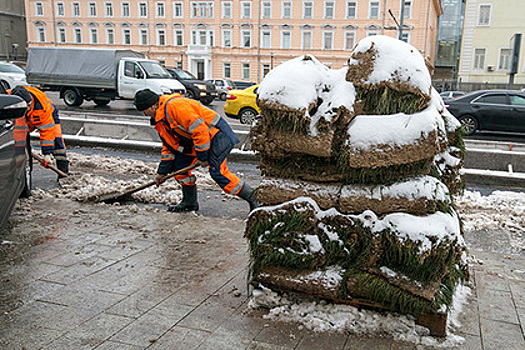 В московском дворе рулонный газон постелили на снег