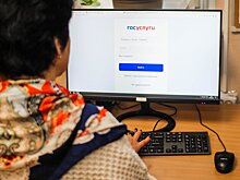 Омбудсмен заверил, что россиян не обяжут пользоваться интернетом через «Госуслуги»