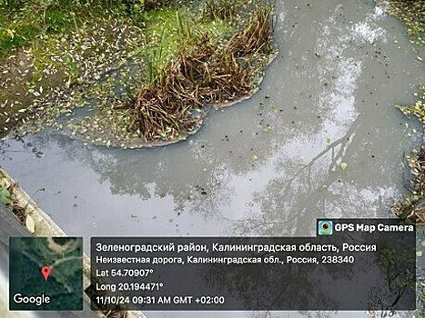 «И теперь природнадзор обещает им хардкор!»: музыкальный дайджест новостей недели в Калининграде