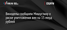 Виноделы сообщили Мишустину о риске уничтожения вин на 15 млрд рублей