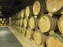 В Геленджике появился новый винный завод