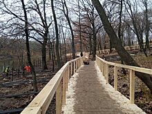 В саратовском парке «Солнечный» появилась деревянная экотропа