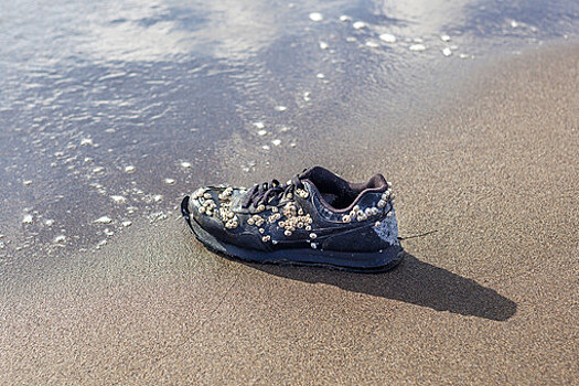 Ученые выяснили, почему в Канаде находят кроссовки со ступнями людей