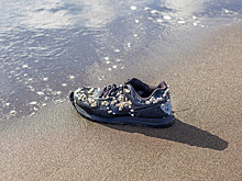 Ученые выяснили, почему в Канаде находят кроссовки со ступнями людей