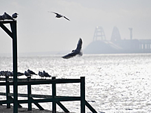 В РФ напомнили Киеву об угрозе войны