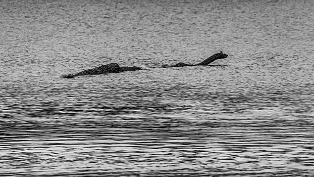 Кем на самом деле было лох-несское чудовище