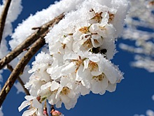 Синоптики прогнозируют скорое похолодание в Тверской области