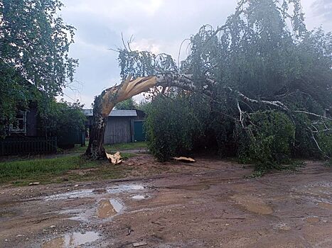 Ливень и шквал прошли по Можге