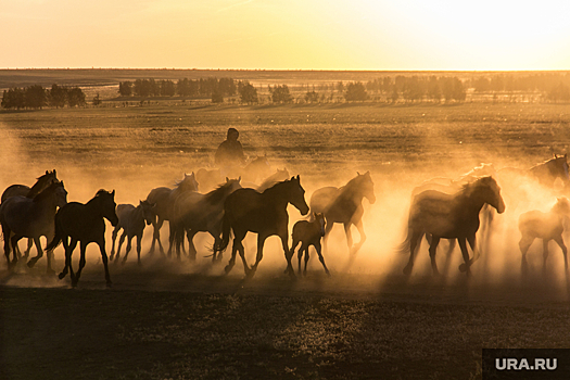 На челябинский фестиваль «Пламя Аркаима» ждут гуннов и сарматов