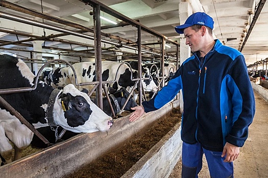 Почему дипломированные специалисты отказываются возвращаться в село