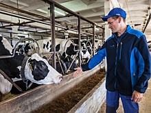 Почему дипломированные специалисты отказываются возвращаться в село