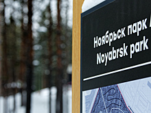 В Ноябрьск-парке могут появиться лавки в виде мамонтов, а в Вынгапуровском – качели