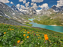 В РФ «серьезно удешевят» поездки внутри страны