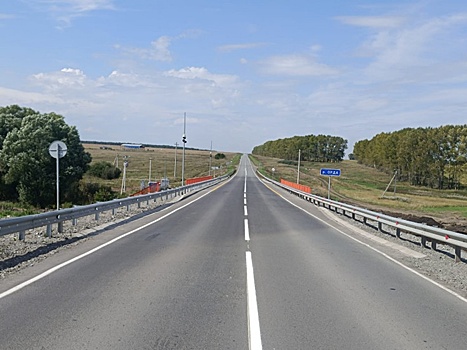 Мост через Орду в Новосибирской области открыли досрочно