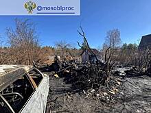 Появились подробности пожара в Подмосковье, в котором погибли пенсионеры и 11-летняя внучка