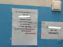 Нижегородцы обвинили соседа по дому в издевательствах над животными