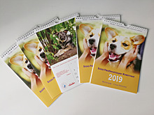 Милые собаки с непростой судьбой попали в календарь 2019 года