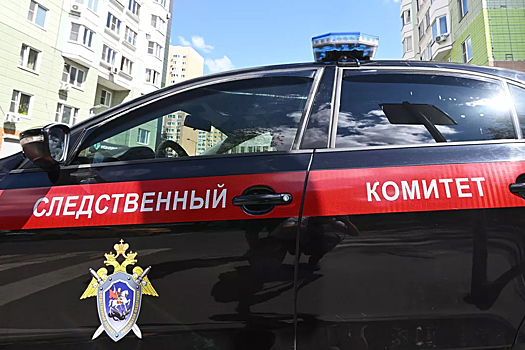 Смерть школьницы-инвалида на линейке под Ульяновском произошла из-за остановки кардиостимулятора