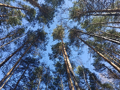 ММК снижает негативное влияние производства на атмосферный воздух в Магнитогорске