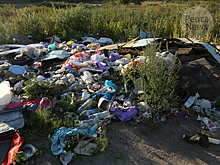 В селе Большая Елань ликвидирована несанкционированная свалка