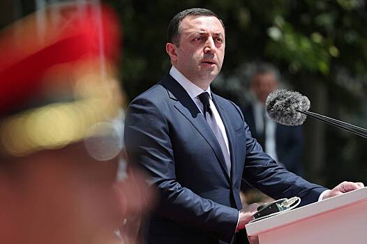 Премьер Грузии заявил о потере минимального доверия к президенту республики