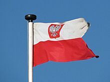 После угона Lexus жены Туска: в польской спецслужбе уволили четырех начальников отделов