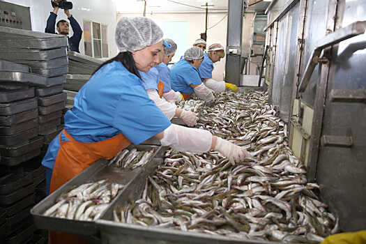 Водорослевый завод займется рыбным промыслом