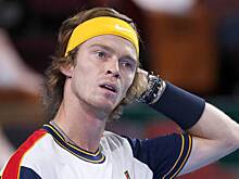 Рублев вышел в полуфинал Итогового турнира ATP