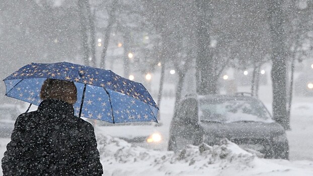 В МЧС предупредили о снеге и ветре в Москве