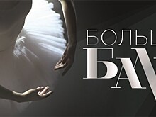 Воронежские артисты показали "Большой балет"