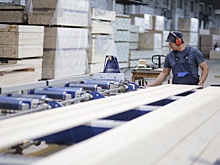 В Архангельской области начнет действовать специальный льготный налоговый режим