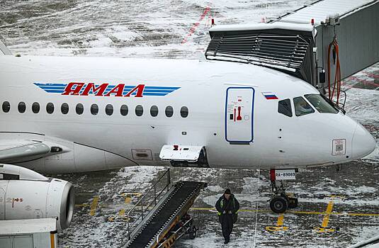 Из-за снегопада в Москве произошла массовая задержка рейсов