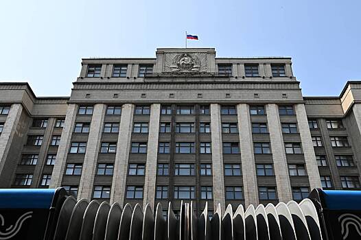 Госдума предложила правительству комплекс «незамедлительных» мер по мигрантам