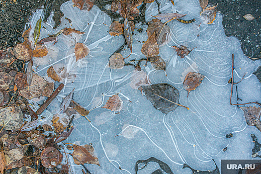 Синоптик Шувалов предупредил о похолодании на европейской части России в выходные
