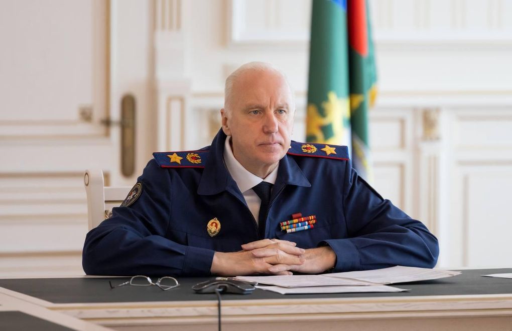 Бастрыкин потребовал доклад об избитой сверстниками девочке в Удмуртии