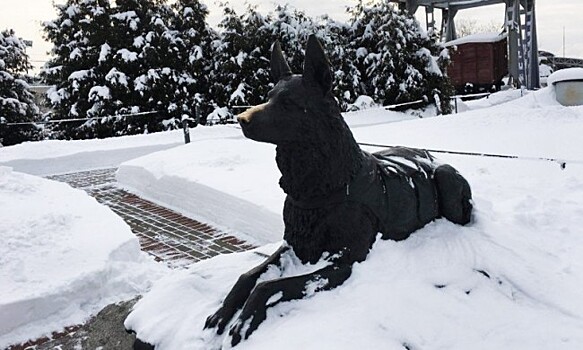 8 февраля – день первой полицейской операции служебной собаки