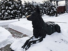 8 февраля – день первой полицейской операции служебной собаки