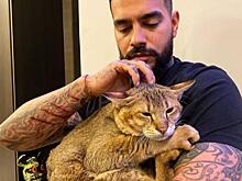 Поклонники Тимати обеспокоены: рэпер составил завещание