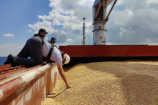В России оценили выполнение зерновой сделки