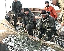 Агентство по рыболовству Калининградской области включили в состав Минсельхоза региона