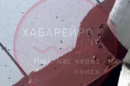 Студенты хабаровского колледжа показали полчища тараканов в общежитии