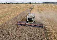 Перспективы возобновления зерновой сделки при ее приостановке оценили