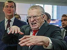 Жириновский выступил за половое воспитание в школах