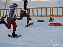 Курская школа-интернат стала лучшей в беге на снегоступах