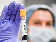 В ФК "Млада Болеслав", где выступают два россиянина, выявили случай коронавируса