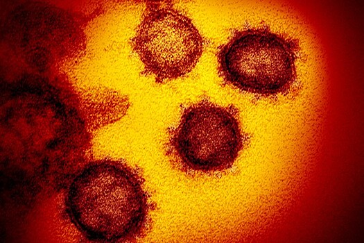 Вирусолог: коронавирус может остаться нашей реалией до 2023 года