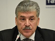ЦИК не комментирует сообщения об активах Грудинина