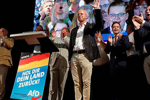 Член бундестага ФРГ Фехнер: правой партии АдГ могут сократить субсидии