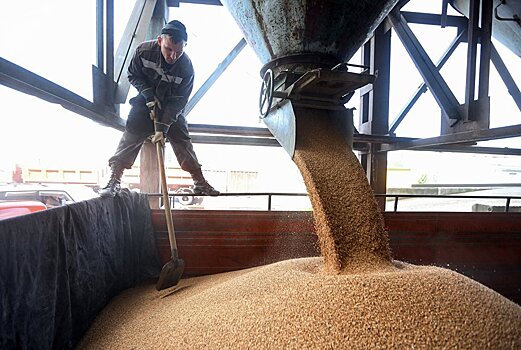 "Стоят по 15 суток" - в КТЖ заявили о нехватке вагонов для экспорта зерна