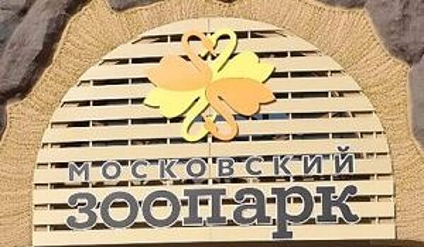 Онлайн-лекция о птицах состоится на страницах Московского зоопарка в социальных сетях